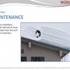 Slide21